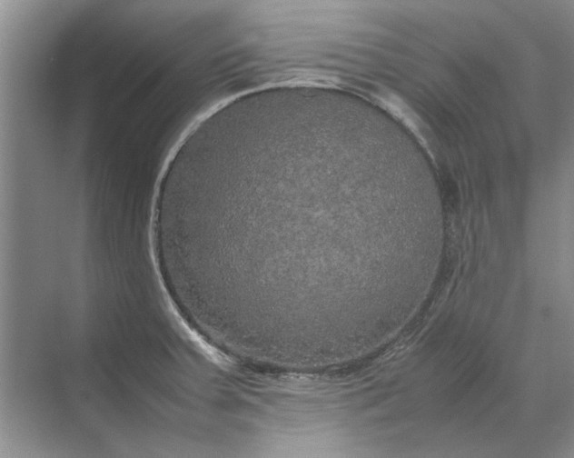 X0000070211379200606091613