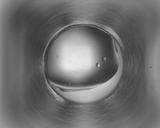 X0000070211380200606091613