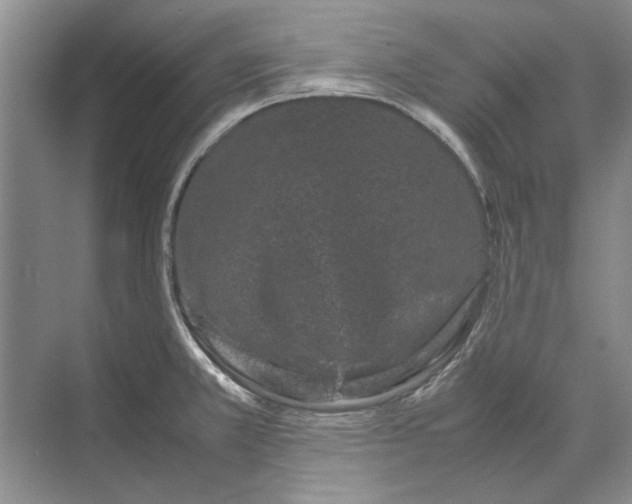 X0000070211381200606091613