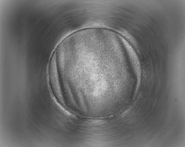 X0000070211382200606091613