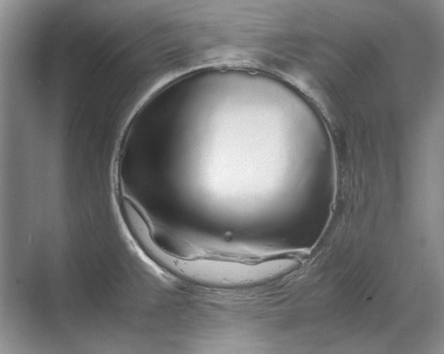 X0000070211383200606091613