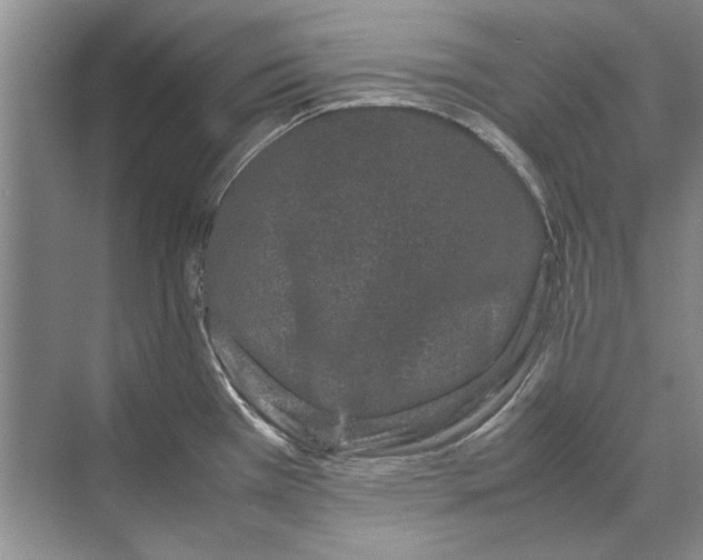 X0000070211385200606091613