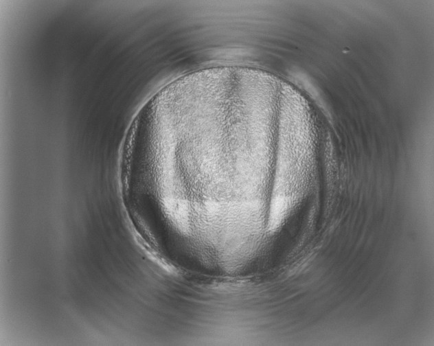 X0000070211386200606091613