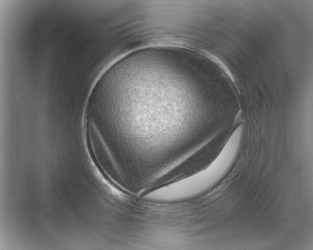 X0000070211387200606091613