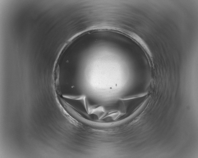 X0000070211388200606091613