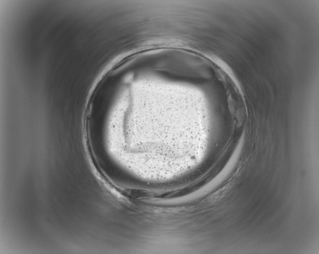 X0000070211389200606091613