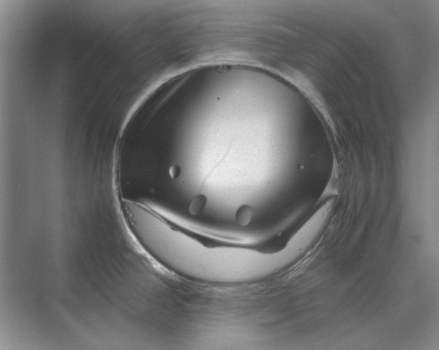 X0000070211390200606091613