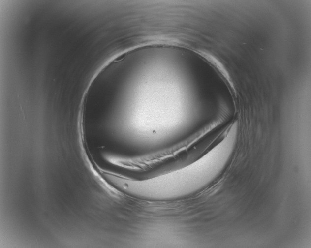 X0000070211391200606091613