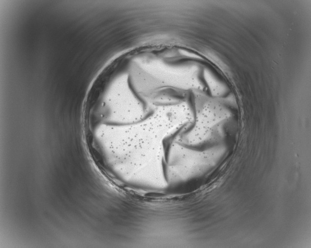 X0000070211392200606091613