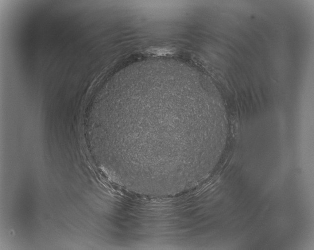 X0000070211393200606091612