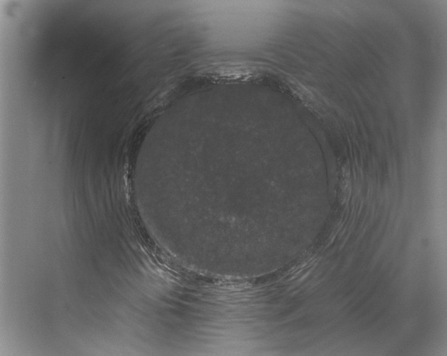 X0000070211394200606091612