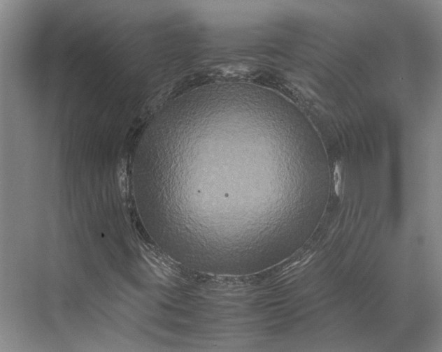 X0000070211395200606091612