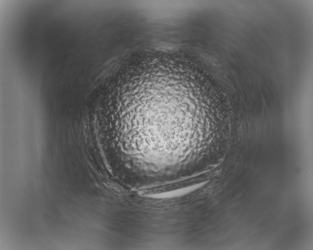 X0000070211397200606091612