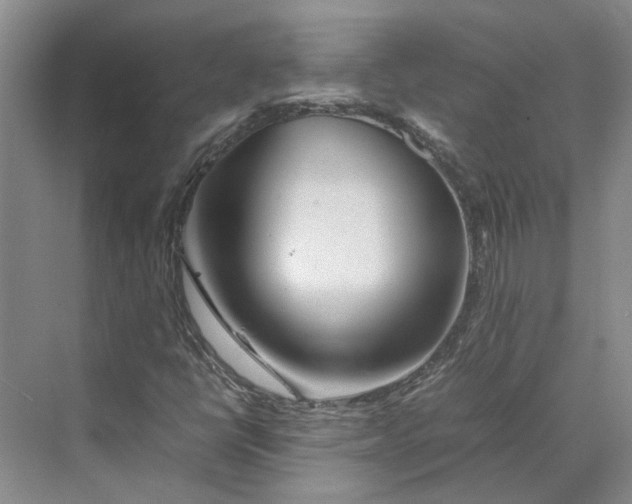 X0000070211398200606091612