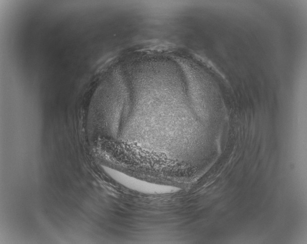 X0000070211399200606091612