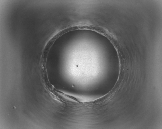 X0000070211400200606091612