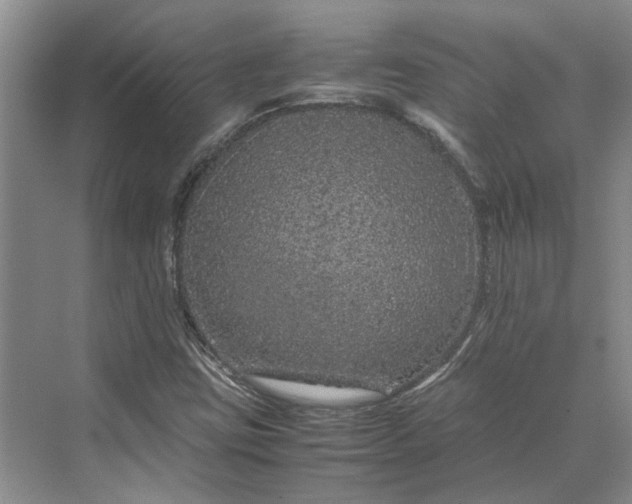 X0000070211403200606091612