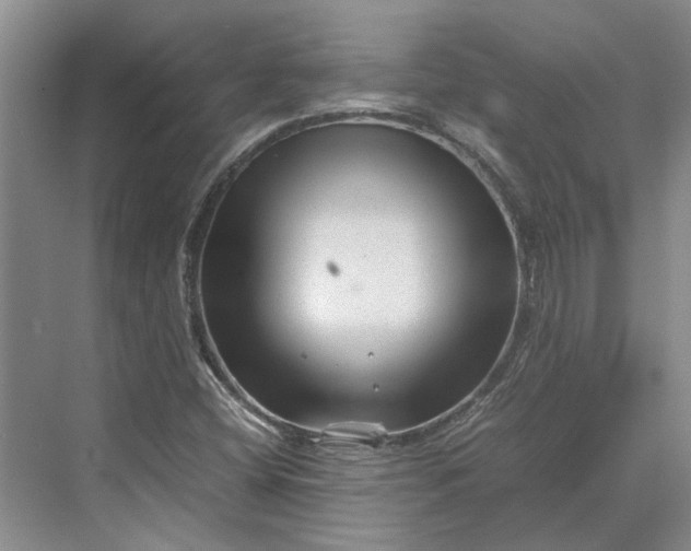 X0000070211404200606091612