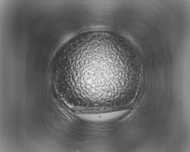 X0000070211405200606091612