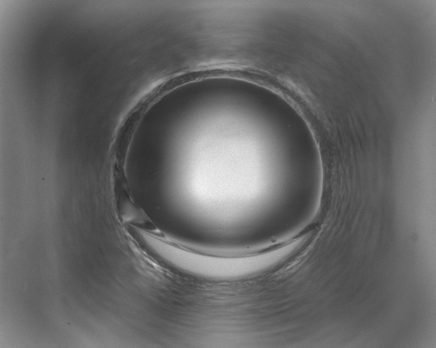 X0000070211406200606091612