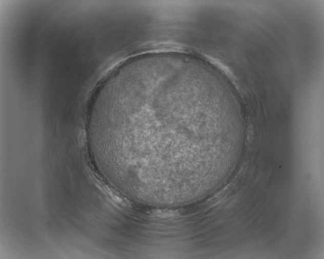 X0000070211407200606091612