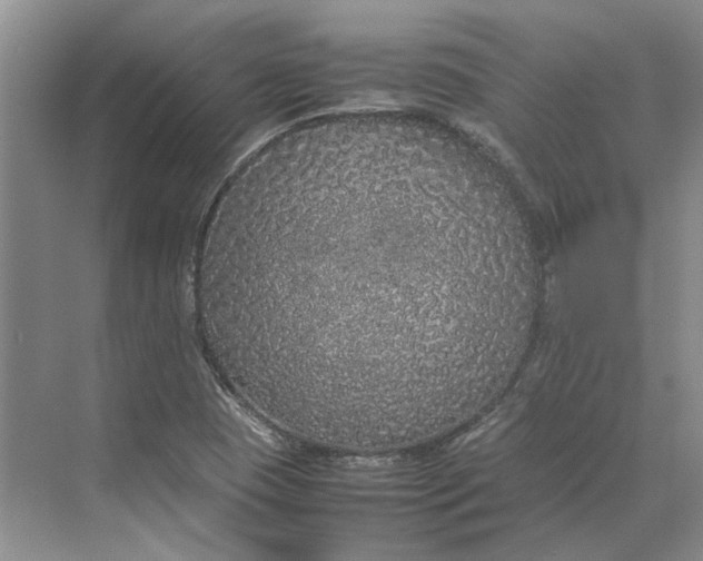 X0000070211409200606091612