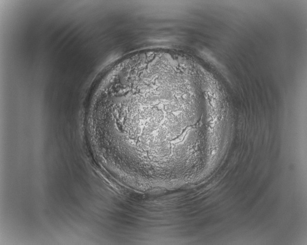 X0000070211411200606091612