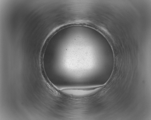 X0000070211412200606091612