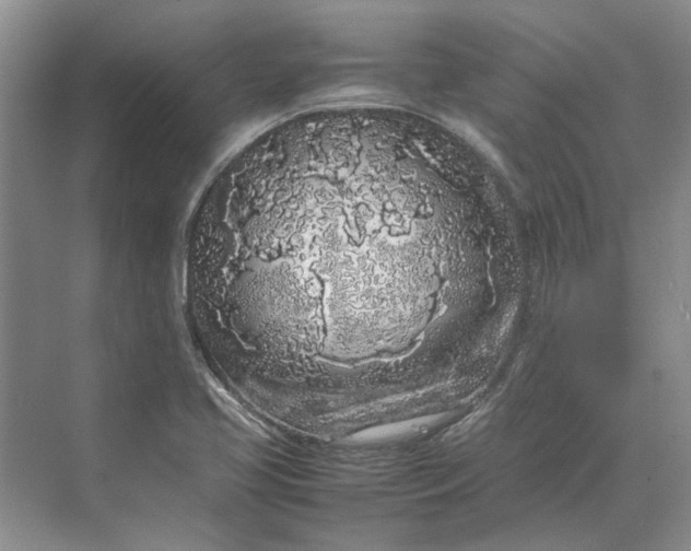 X0000070211413200606091612