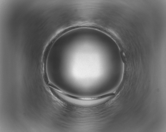 X0000070211414200606091612