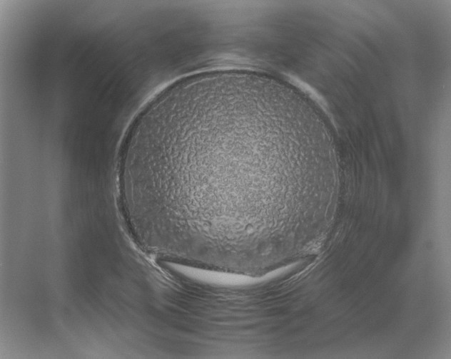 X0000070211415200606091612