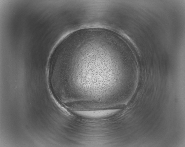 X0000070211416200606091612