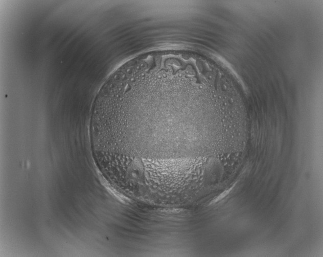 X0000070211417200606091612