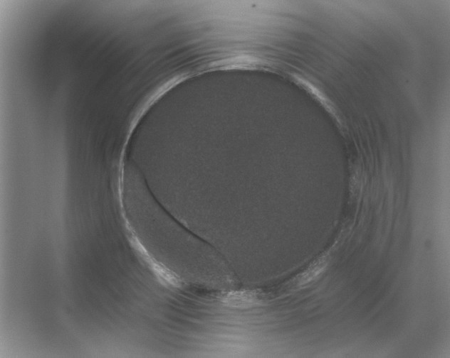 X0000070211418200606091612