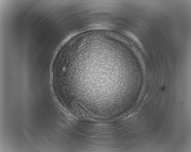 X0000070211419200606091612