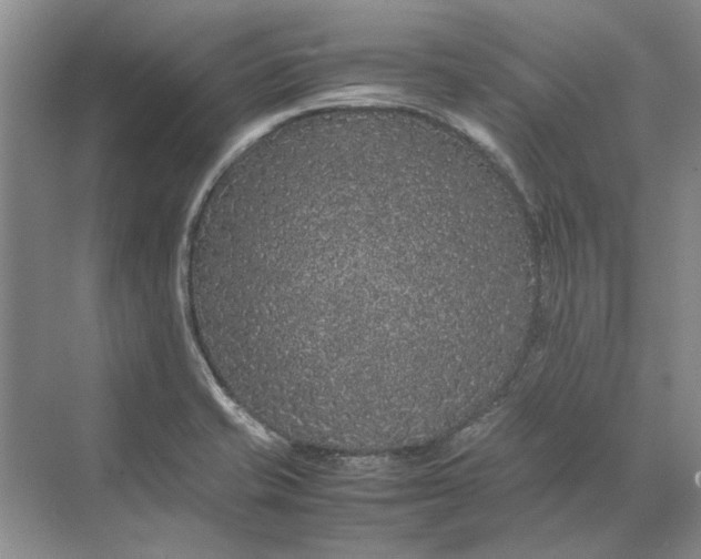 X0000070211421200606091613