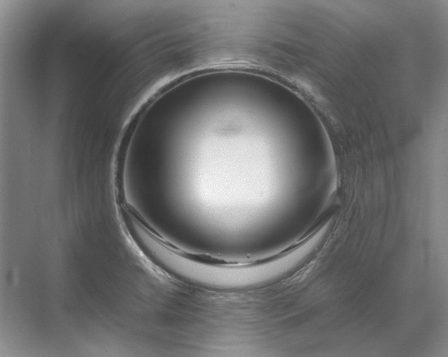 X0000070211422200606091613