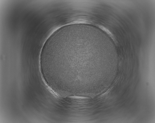 X0000070211423200606091613