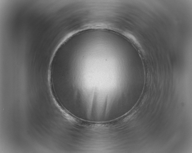 X0000070211424200606091613