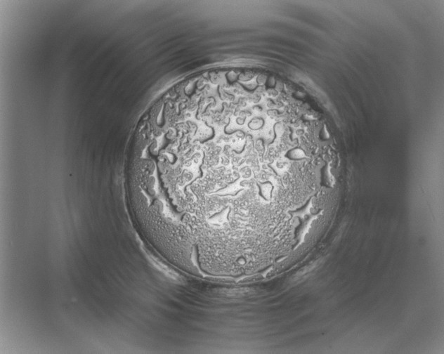 X0000070211425200606091613