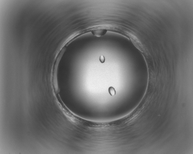 X0000070211426200606091613