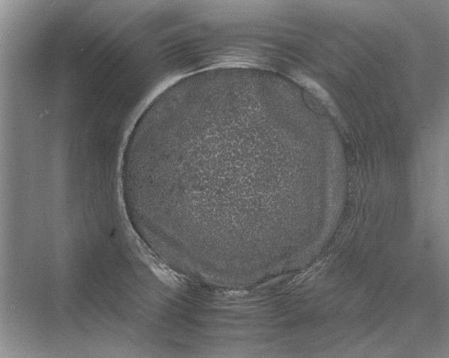 X0000070211427200606091613