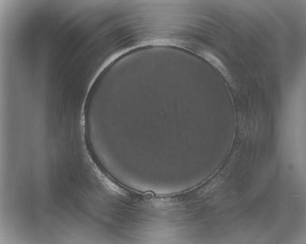 X0000070211428200606091613