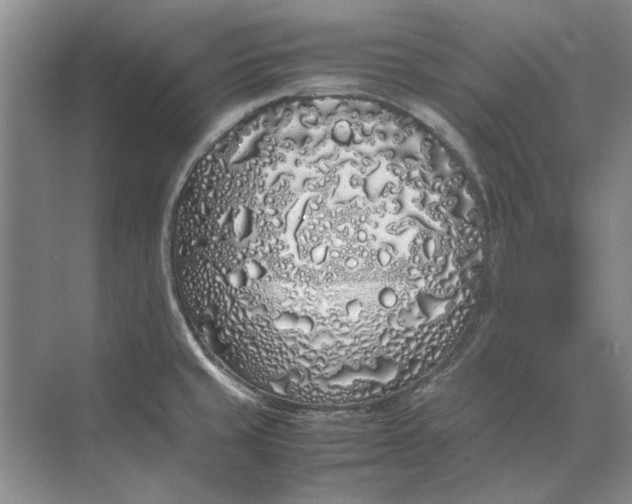 X0000070211429200606091613