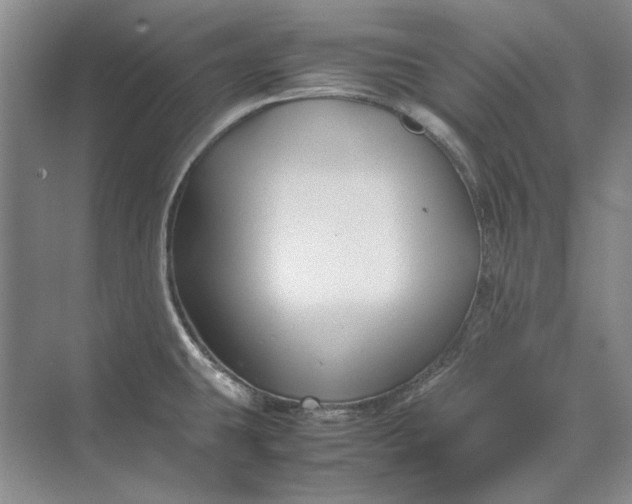 X0000070211431200606091613