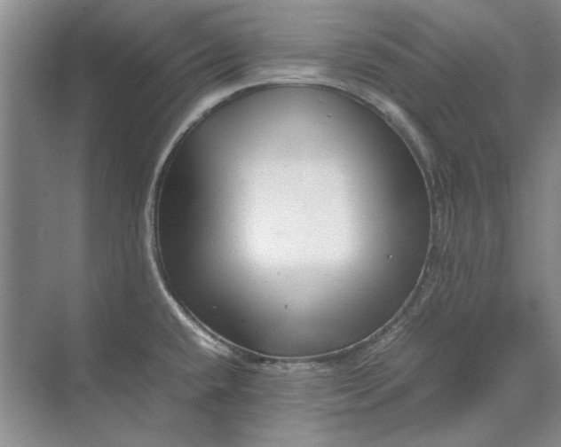 X0000070211432200606091613