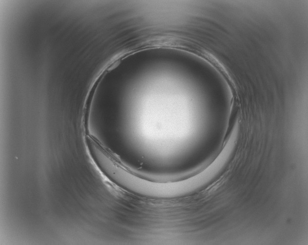 X0000070211434200606091613