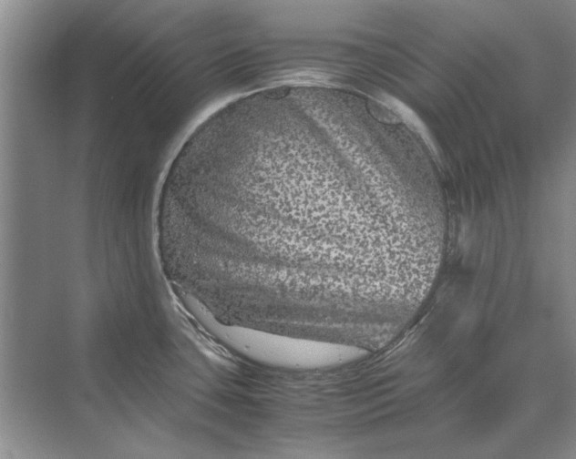 X0000070211435200606091613