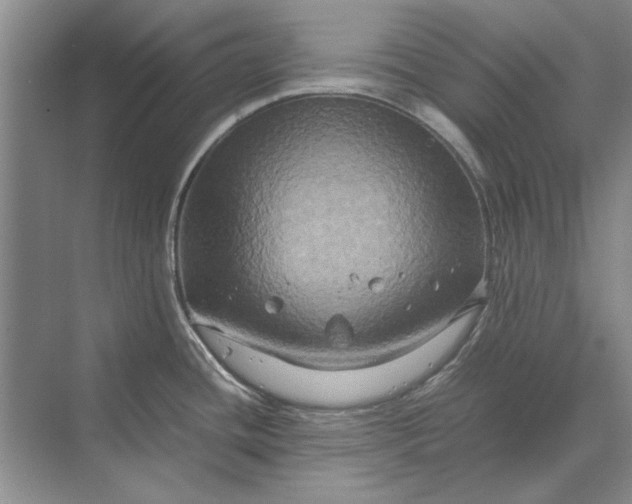 X0000070211436200606091613