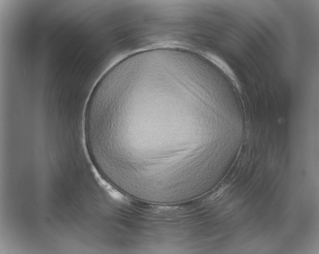 X0000070211439200606091613